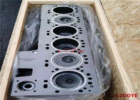 Oem de Uitrusting van de Motorvoering, de Cilinderblok Assy With Crankshaft Piston Rings van 6CT S6D114